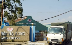 Vụ patê "dính" lợn bệnh: Đồ hộp Hạ Long tạm ngừng sản xuất, người lao động ra sao?