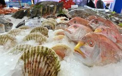 Thực phẩm giàu canxi - nền tảng cho hệ xương chắc khỏe