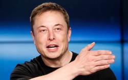 Elon Musk: Bằng cấp, kinh nghiệm hay tiền bạc sẽ thành vô dụng trong 4 năm nữa, con người cần một kỹ năng mới để tồn tại