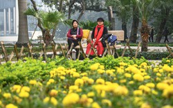 Công viên Indira Gandhi hạ rào, mở không gian xanh giữa trung tâm Hà Nội