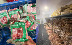 Cận cảnh kho thịt heo "đội lốt" đà điểu, dê, nai, nhím tuồn ra thị trường vừa bị triệt phá