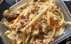 Bị cấm gặp bạn trai, cô gái 17 tuổi rắc thuốc diệt chuột vào bữa tối của bố mẹ