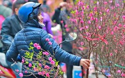 Tết Nguyên đán 2026 lạnh hơn, đề phòng mưa kèm rét đậm, rét hại