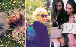 Internet đã quyết định: 2026 là 2016 mới