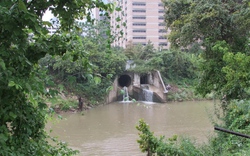 Hơn 30 thi thể vớt từ sông rạch Houston, gây lo ngại về kẻ giết người hàng loạt