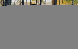 108 lần lấy máu, 18 lần chụp chiếu và hành trình vượt cửa tử sau 2 lần đột quỵ