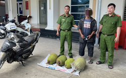 Tuần tra lúc rạng sáng, công an bắt giữ 3 đối tượng trộm 6 trái mít Thái
