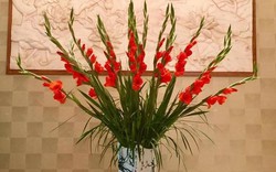 Mồng 1 tháng Chạp: 5 loại hoa dâng bàn thờ đúng lễ nghi, chuẩn phong thuỷ, bề trên ưng ý