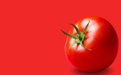Thêm tác dụng ít ai ngờ đến của cà chua