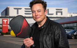 Vợt pickleball - "Miếng bánh" béo bở trị giá 67 tỷ USD khiến Tesla và hàng loạt "ông lớn" cùng tranh phần