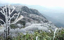 Miền Bắc đón không khí lạnh mạnh, đi chợ thấy 3 "thần dược" làm ấm cơ thể này đừng bỏ phí