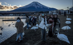 Buồn của Nhật Bản: Nguy cơ mất vị thế nền kinh tế lớn thứ 4 thế giới vào tay 1 quốc gia tỷ dân, chật vật giải hàng loạt bài toán hóc búa