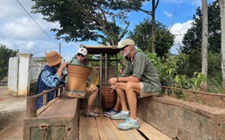 Khách Tây mê tít trải nghiệm lên rẫy bằng xe công nông 'Lamborghini Ê Đê'