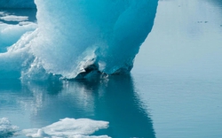 Tảng băng trôi lớn nhất thế giới sắp biến mất vĩnh viễn