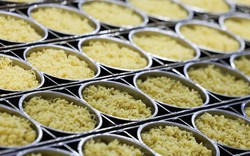Mì cay vị phô mai đang giúp xuất khẩu thực phẩm của Hàn Quốc đạt mức cao kỷ lục
