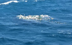 Khánh Hòa: Tàu cá cùng 8 ngư dân mất tích hơn 10 ngày