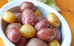 Tôi đã thử 5 cách bảo quản khoai tây và phát hiện 1 mẹo cực đơn giản giúp khoai tươi lâu hơn hẳn