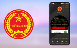 Cách tra cứu nợ thuế nhanh chóng, chính xác