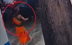 Nhà sư cầu cứu khi bị trăn khủng dài 4 mét, nặng 15kg siết chặt cổ