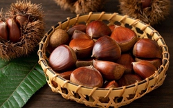 Hạt dẻ - món ăn cứu đói mùa đông hay “cái bẫy” sức khỏe? 3 nhóm người nên dừng lại