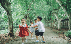 Hiệu trưởng Harvard nói thẳng: Đưa con đến 5 nơi này, lớn lên con sẽ cảm ơn bạn