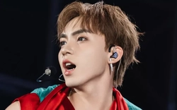 Cơn lốc nghệ danh Tây