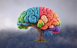 Bí quyết giảm “sương mù não” trong những ngày mưa rét