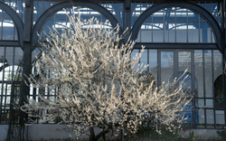 Tin vui cho hàng triệu người đi Sa Pa thời gian này