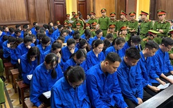 100 bị cáo làm giả hơn 220.000 phiếu kiểm nghiệm thực phẩm đối diện mức án nào?