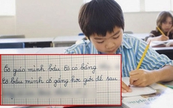 Học sinh tiểu học kể về lời cô dặn, chỉ sai 1 từ mà ai nấy hốt hoảng: Đừng làm theo!
