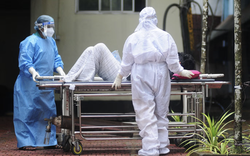 Nguy cơ bùng phát dịch bệnh mới từ 1 loại virus lây từ dơi sang người, chưa có vaccine hoặc bất kỳ phương pháp điều trị nào