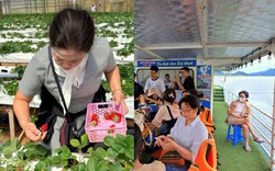 "Mẹ vung 100 triệu mua nệm rởm nhưng đay nghiến con vì ly nước 30k”, chuyện du lịch cùng gia đình khiến giới trẻ khóc ròng mùa Tết