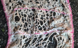 Nhìn thấy 8 món này trong bếp mà rùng mình: Trông vô hại nhưng chúng lại âm thầm bào mòn sức khỏe cả nhà