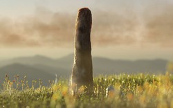 Một nhánh mới của sự sống Trái Đất vừa lộ diện?