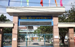 Tạm đình chỉ giáo viên bị tố sửa bài kiểm tra, “dìm” điểm hàng loạt học sinh