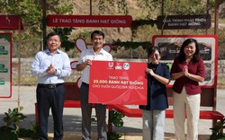 Cùng OMO mang “lộc xanh” đến Vườn quốc gia Núi Chúa - Phước Bình