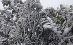 Miền Bắc duy trì trạng thái rét sâu dưới 9 độ C, sắp tăng cường đợt không khí lạnh mới?