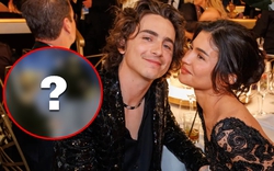 Timothée Chalamet bị tung CCTV đi mua bikini