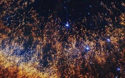 NASA hé lộ viễn cảnh rùng rợn về cái kết của Trái Đất