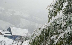 Ngoài mặc đồ giữ ấm tốt, bác sĩ nói có 2 thứ cần đảm bảo để tạo lớp "áo giáp mềm" cho cơ thể: Không sợ đột quỵ, hạ đường huyết!