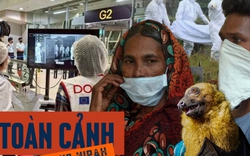 Toàn cảnh virus Nipah: Mối đe dọa âm ỉ khiến thế giới luôn trong trạng thái báo động