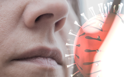 Infographic: Người nhiễm virus Nipah có triệu chứng ban đầu như thế nào?