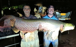 Ngư dân bắt được con cá khổng lồ nặng 124kg trên sông
