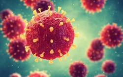 Dấu hiệu mắc virus Nipah là gì?