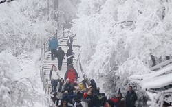 Khách Việt bị yêu cầu giấu túi nilon đi khi du lịch Trung Quốc, lý do phía sau khiến ai cũng lạnh sống lưng