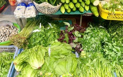 Loại rau tốt bậc nhất thế giới, bổ ngang nhân sâm tổ yến, chợ Việt bán đầy từ 15.000 đồng/kg