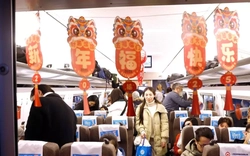 Người Trung Quốc lo ngại virus Nipah khi Tết Nguyên đán đến gần