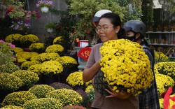 Ấm lòng ngày giáp Tết: Người dân TP.HCM chung tay giải cứu từng chậu cúc mâm xôi, giúp bà con nông dân miền Tây vơi bớt nỗi lo mất mùa