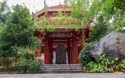 Đình chỉ giảng dạy, đục bỏ tên tiến sĩ dùng bằng giả