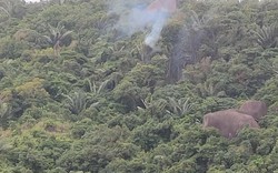 Rơi máy bay quân sự ở Đắk Lắk, phi công kịp thời nhảy dù thoát nạn